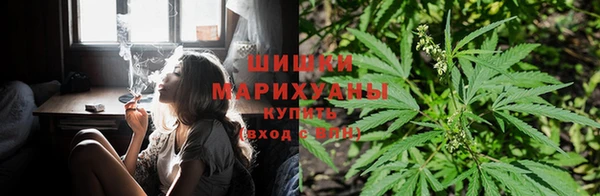 твердый Зерноград
